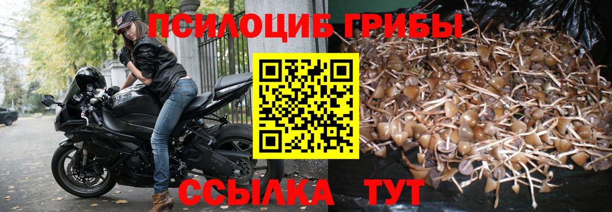 Галлюциногенные грибы Cubensis  Вход с VPN  Петропавловск-Камчатский 
