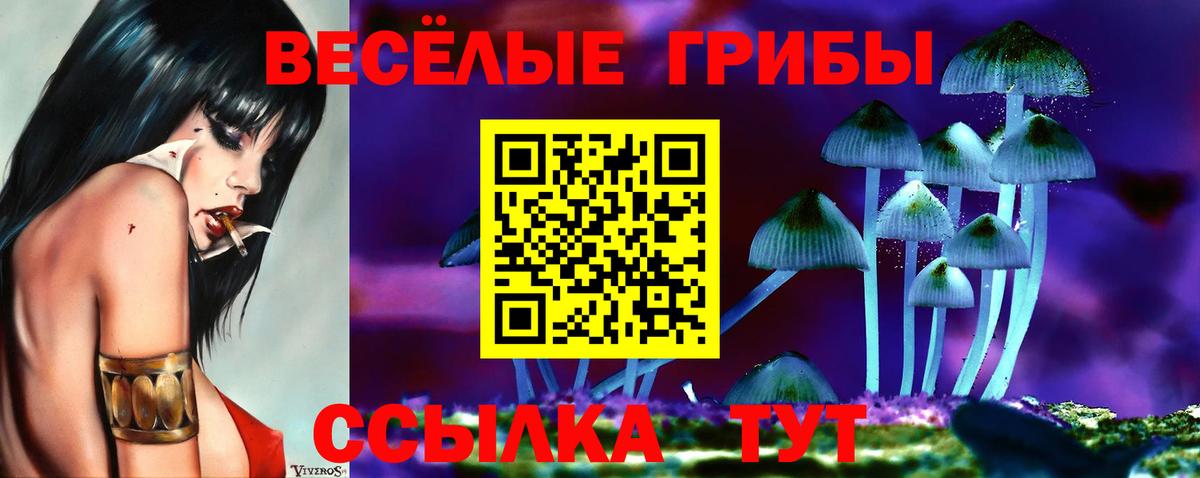 Псилоцибиновые грибы Psilocybine cubensis Петропавловск-Камчатский